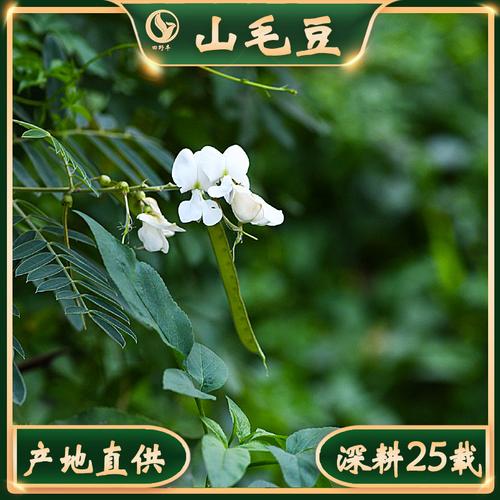 面积:760加工方式:经营模式:生产加工资质证书>更多公司信息>员工人数