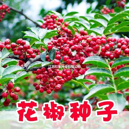 小型草种生产经营企业信息指南