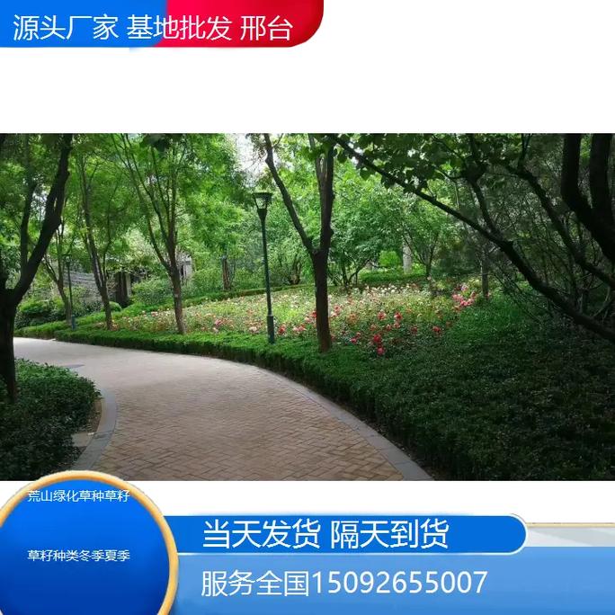 邢台荒山绿化草种草籽的创新选择与生态效益分析 邢台荒山绿化草